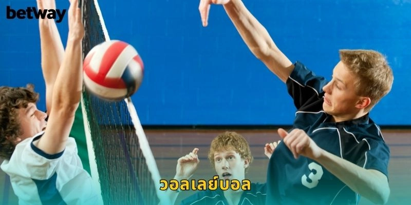 วอลเลย์บอล BETWAY เดิมพันกีฬาในร่ม