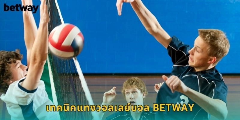 เทคนิคแทงวอลเลย์บอล BETWAY
