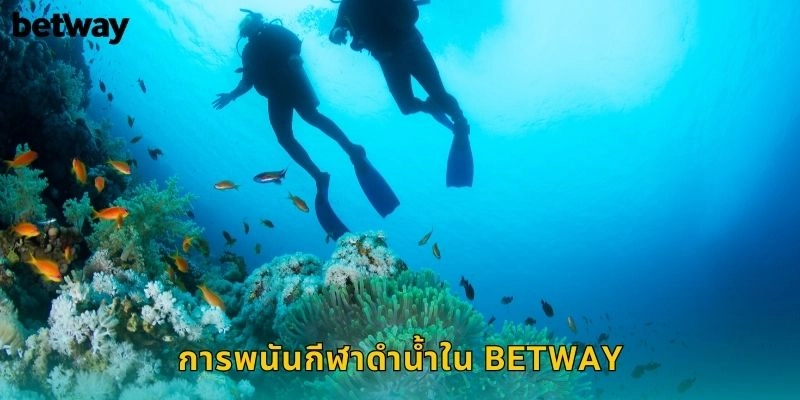 การพนันกีฬาดำน้ำใน BETWAY